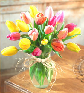 Lovely tulips in a vase